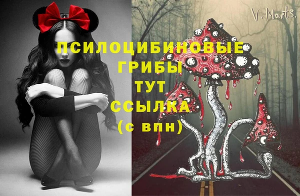 дурь Аркадак