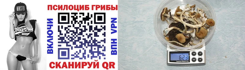 Галлюциногенные грибы Psilocybe  Судогда 